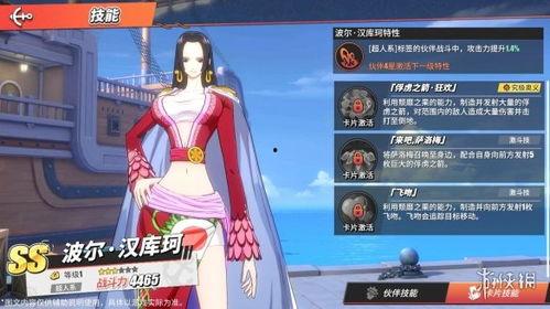 热血航线ss最新爆料,揭秘神秘航线背后的传奇故事