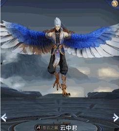 云中君最新爆料视频,揭秘最新游戏动态与神秘内容